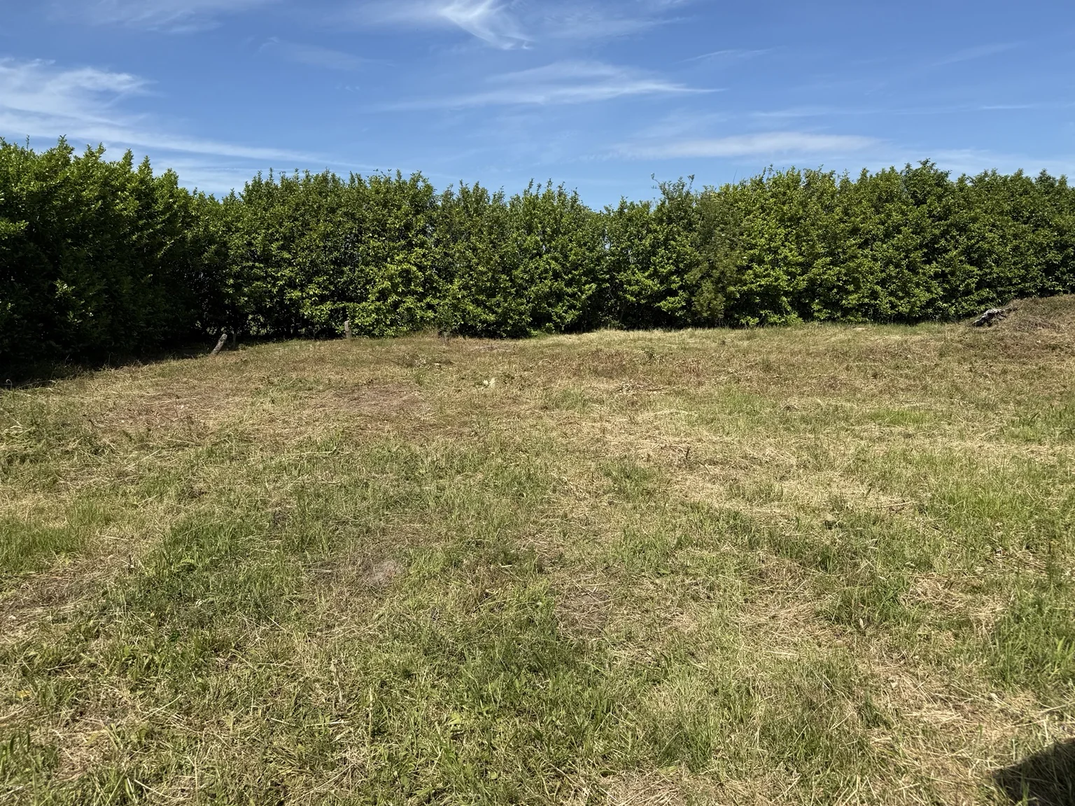 Terrein rondom het object