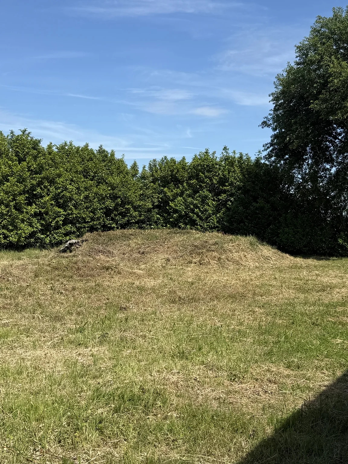 Verzorgde kantoorruimte